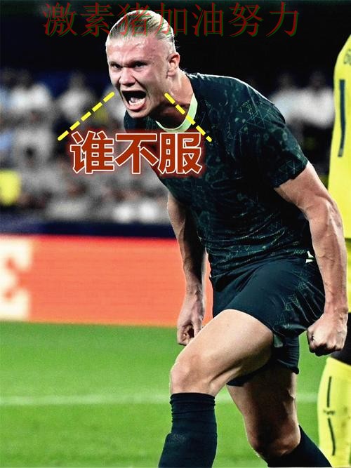 哈兰德连续破门球迷情绪彻底被点燃